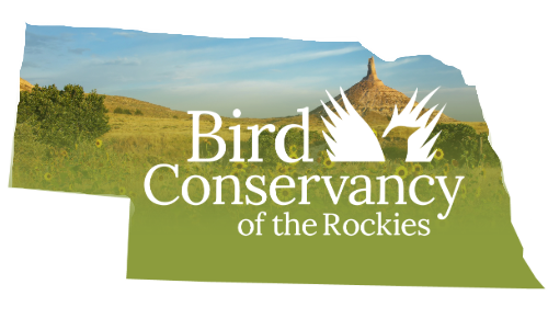 Event Promo Photo For 1st Day Birding Walk